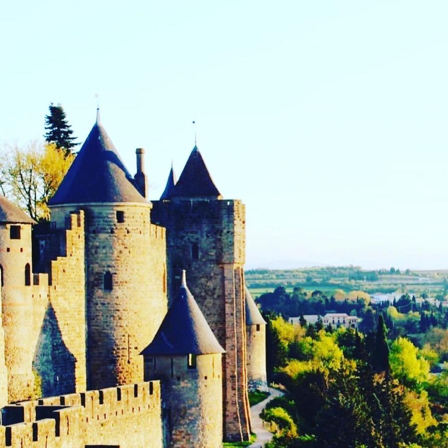 La Maison De L' Ambassadeur Carcassonne Exterior photo